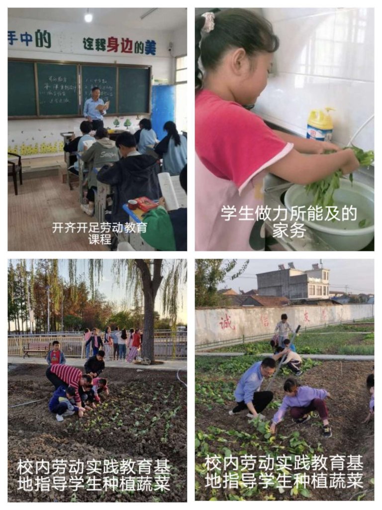 简篇-定远县朱马学校2023年度学校工作汇编