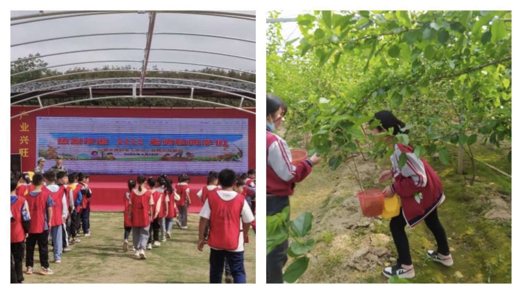 简篇-定远县朱马学校2023年度学校工作汇编